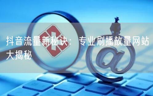 抖音流量新秘诀：专业刷播放量网站大揭秘