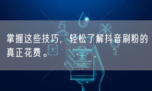 掌握这些技巧，轻松了解抖音刷粉的真正花费。
