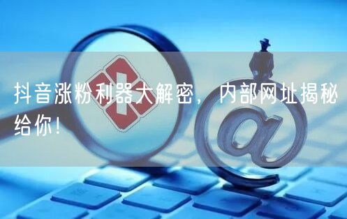 抖音涨粉利器大解密，内部网址揭秘给你！
