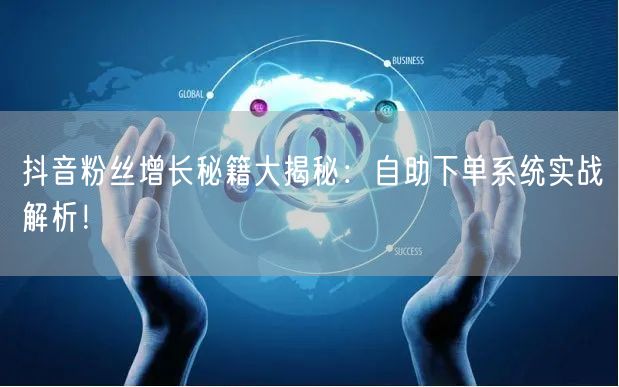 抖音粉丝增长秘籍大揭秘：自助下单系统实战解析！