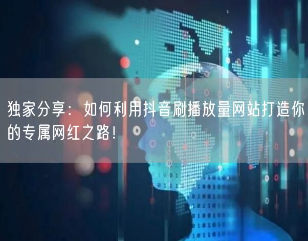 独家分享：如何利用抖音刷播放量网站打造你的专属网红之路！