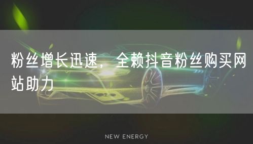 粉丝增长迅速，全赖抖音粉丝购买网站助力
