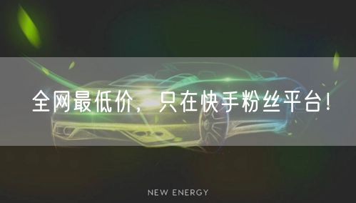 全网最低价，只在快手粉丝平台！