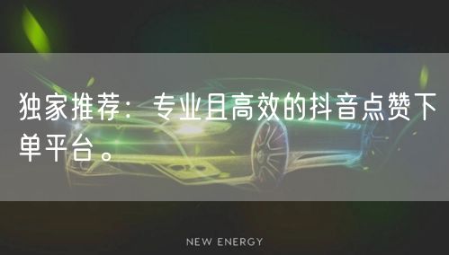 独家推荐：专业且高效的抖音点赞下单平台。