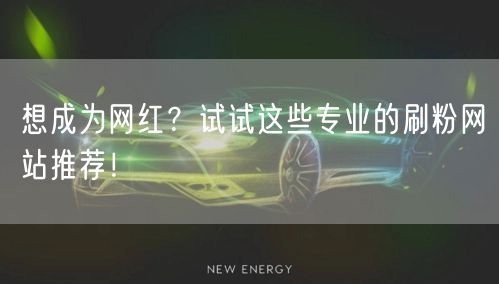 想成为网红？试试这些专业的刷粉网站推荐！