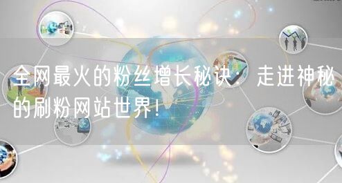 全网最火的粉丝增长秘诀：走进神秘的刷粉网站世界！