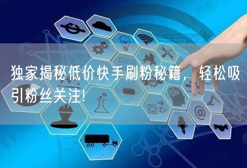 独家揭秘低价快手刷粉秘籍，轻松吸引粉丝关注!