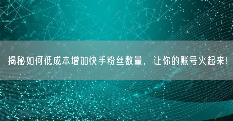 揭秘如何低成本增加快手粉丝数量，让你的账号火起来!