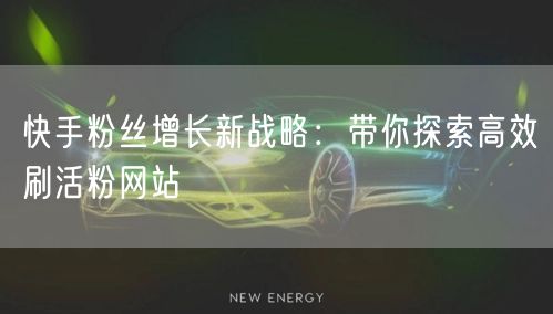 快手粉丝增长新战略：带你探索高效刷活粉网站