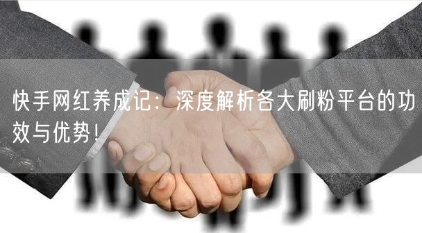 快手网红养成记：深度解析各大刷粉平台的功效与优势！