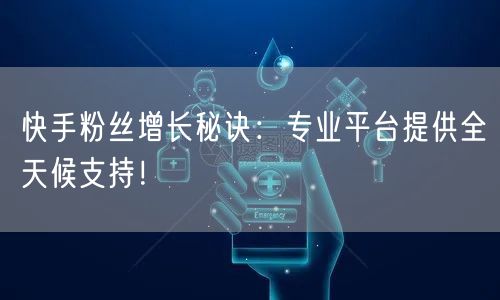 快手粉丝增长秘诀：专业平台提供全天候支持！