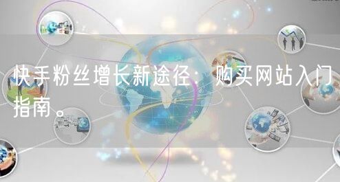 快手粉丝增长新途径：购买网站入门指南。