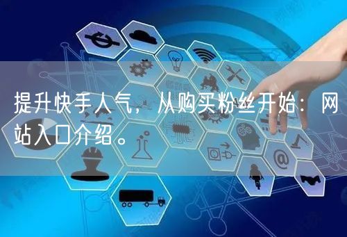 提升快手人气，从购买粉丝开始：网站入口介绍。