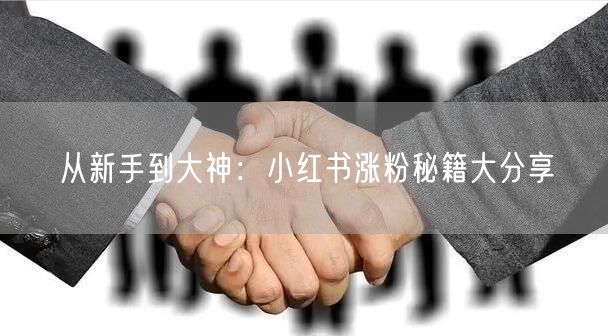 从新手到大神：小红书涨粉秘籍大分享