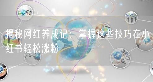 揭秘网红养成记：掌握这些技巧在小红书轻松涨粉
