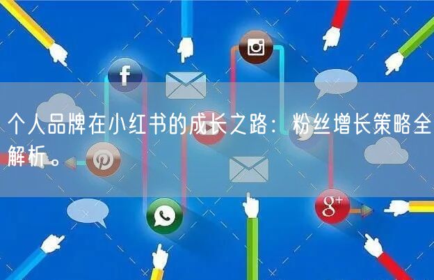 个人品牌在小红书的成长之路：粉丝增长策略全解析。