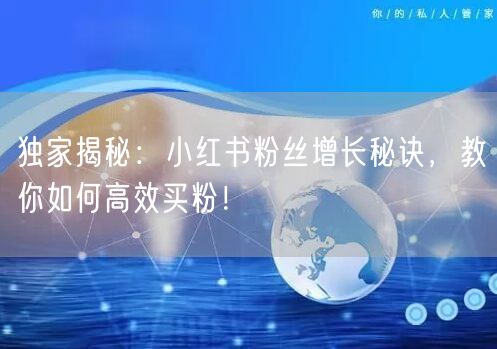 独家揭秘：小红书粉丝增长秘诀，教你如何高效买粉！