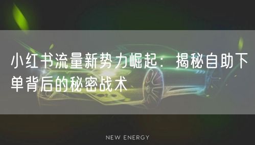小红书流量新势力崛起：揭秘自助下单背后的秘密战术