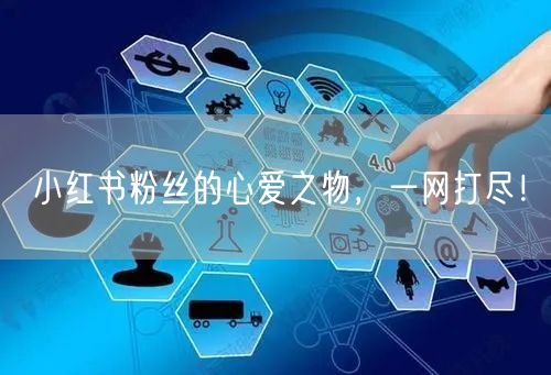 小红书粉丝的心爱之物，一网打尽！