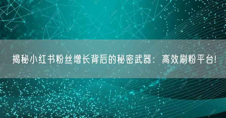 揭秘小红书粉丝增长背后的秘密武器：高效刷粉平台!