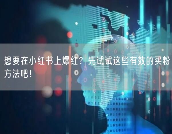 想要在小红书上爆红？先试试这些有效的买粉方法吧！