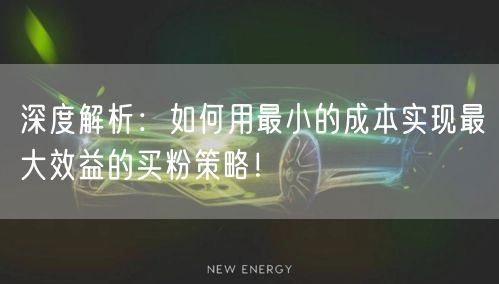 深度解析：如何用最小的成本实现最大效益的买粉策略！