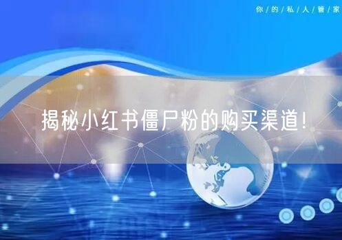 揭秘小红书僵尸粉的购买渠道！