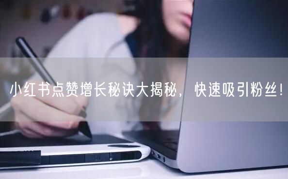 小红书点赞增长秘诀大揭秘，快速吸引粉丝！