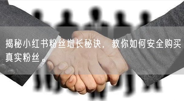 揭秘小红书粉丝增长秘诀，教你如何安全购买真实粉丝。