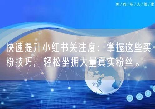快速提升小红书关注度：掌握这些买粉技巧，轻松坐拥大量真实粉丝。