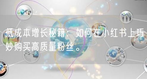 低成本增长秘籍：如何在小红书上巧妙购买高质量粉丝。
