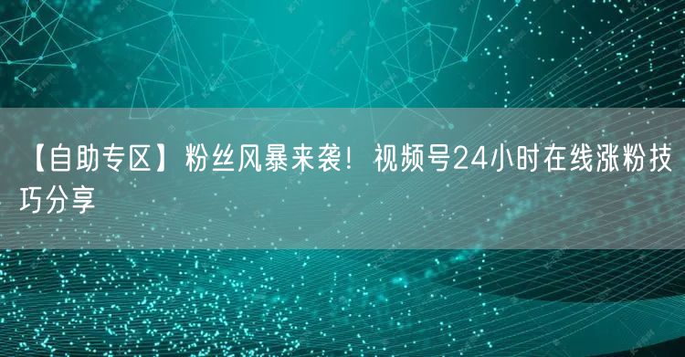 【自助专区】粉丝风暴来袭！视频号24小时在线涨粉技巧分享