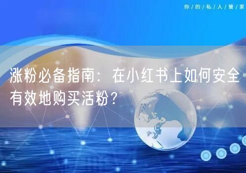 涨粉必备指南：在小红书上如何安全有效地购买活粉？