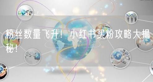 粉丝数量飞升！小红书买粉攻略大揭秘！