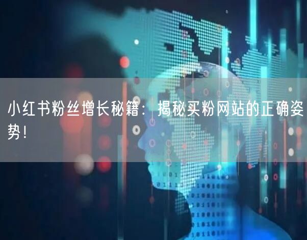 小红书粉丝增长秘籍：揭秘买粉网站的正确姿势！
