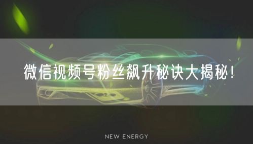 微信视频号粉丝飙升秘诀大揭秘！
