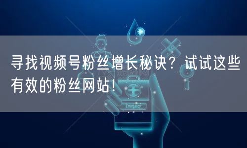 寻找视频号粉丝增长秘诀？试试这些有效的粉丝网站！