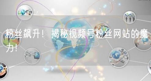 粉丝飙升！揭秘视频号粉丝网站的魔力！