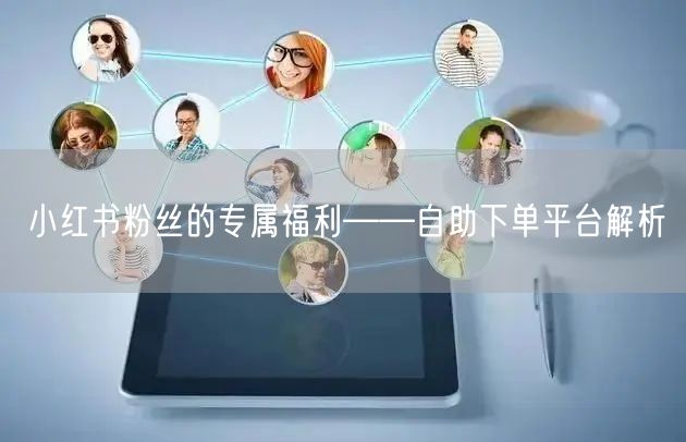 小红书粉丝的专属福利——自助下单平台解析