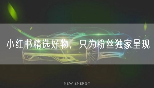小红书精选好物，只为粉丝独家呈现