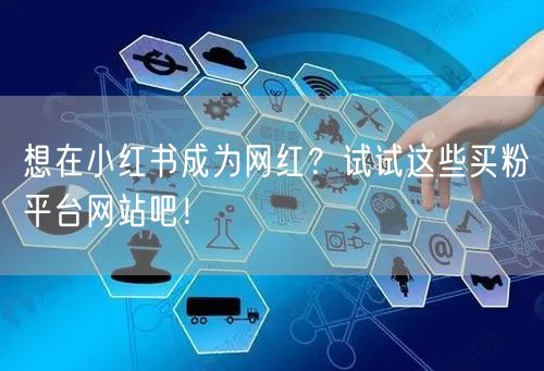 想在小红书成为网红？试试这些买粉平台网站吧！