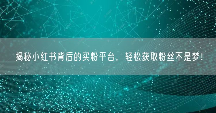 揭秘小红书背后的买粉平台，轻松获取粉丝不是梦！