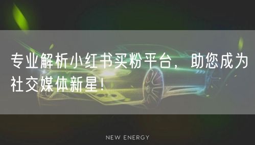 专业解析小红书买粉平台，助您成为社交媒体新星！