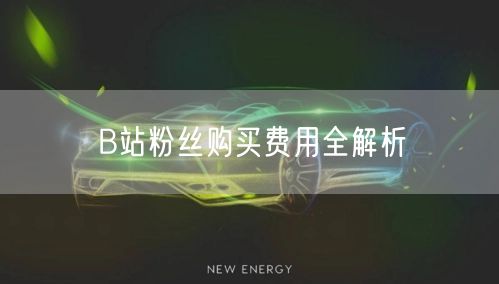 B站粉丝购买费用全解析