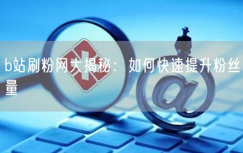 b站刷粉网大揭秘：如何快速提升粉丝量