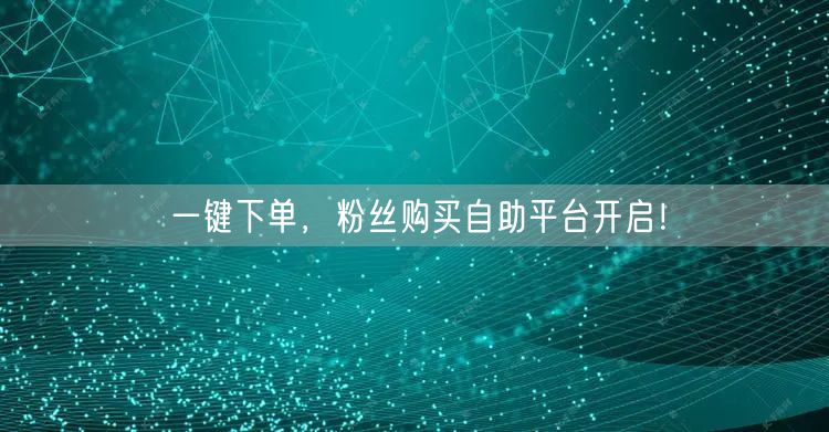 一键下单，粉丝购买自助平台开启！