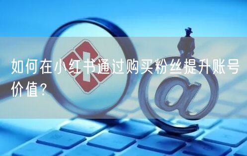 如何在小红书通过购买粉丝提升账号价值？