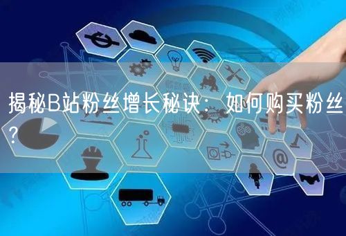 揭秘B站粉丝增长秘诀：如何购买粉丝？