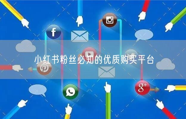 小红书粉丝必知的优质购买平台