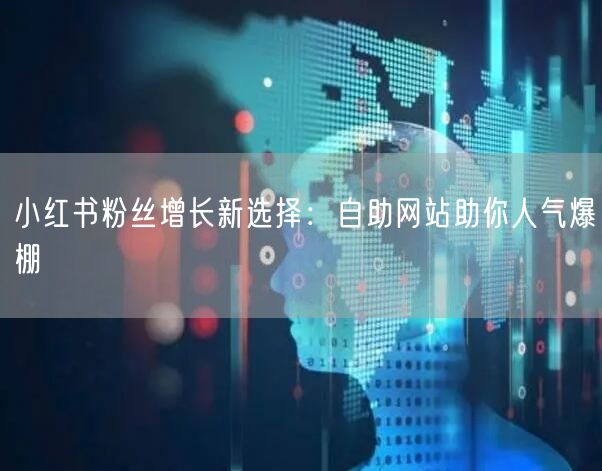 小红书粉丝增长新选择：自助网站助你人气爆棚